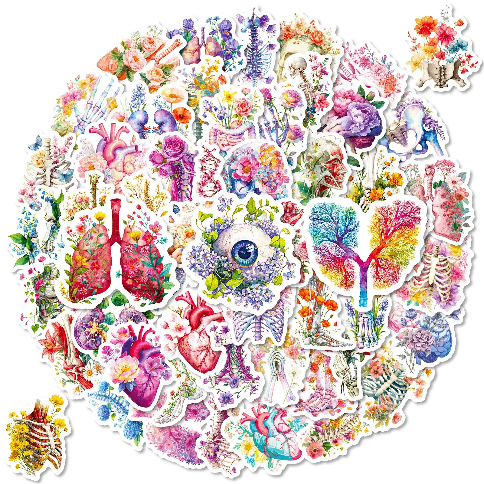 56Pcs Human Body Organs Floral Stickers - Waterproof Vinyl Anatomy Medical Nurse Stickers for Water Bottles,Laptop,Computer,Refrigerator,Scrapbook