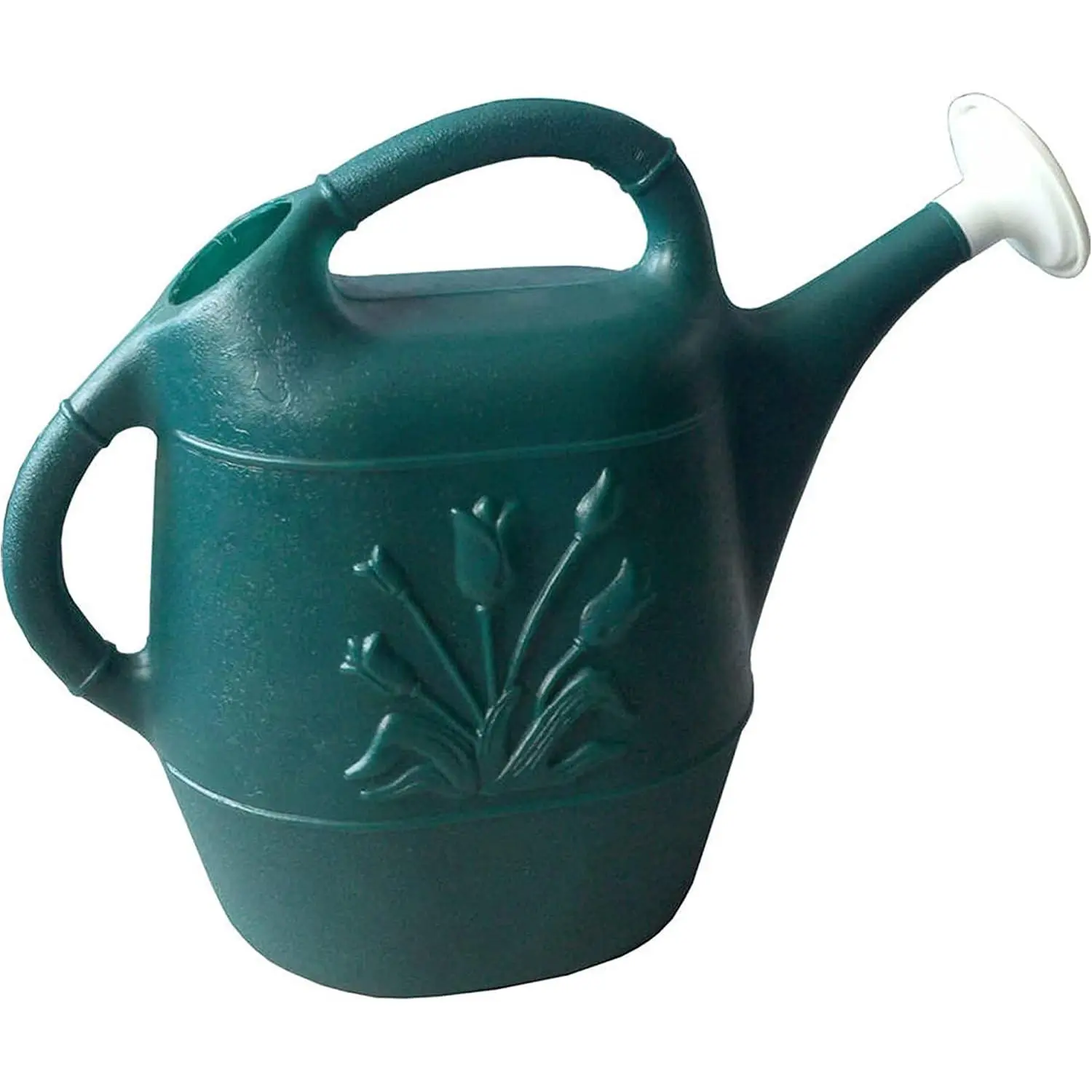 Watering Can, 2 Gallon Plastic Gardening Water Jug with 2 Handles for Garden, Indoor Plants, and Outdoor Flower Pots, Green