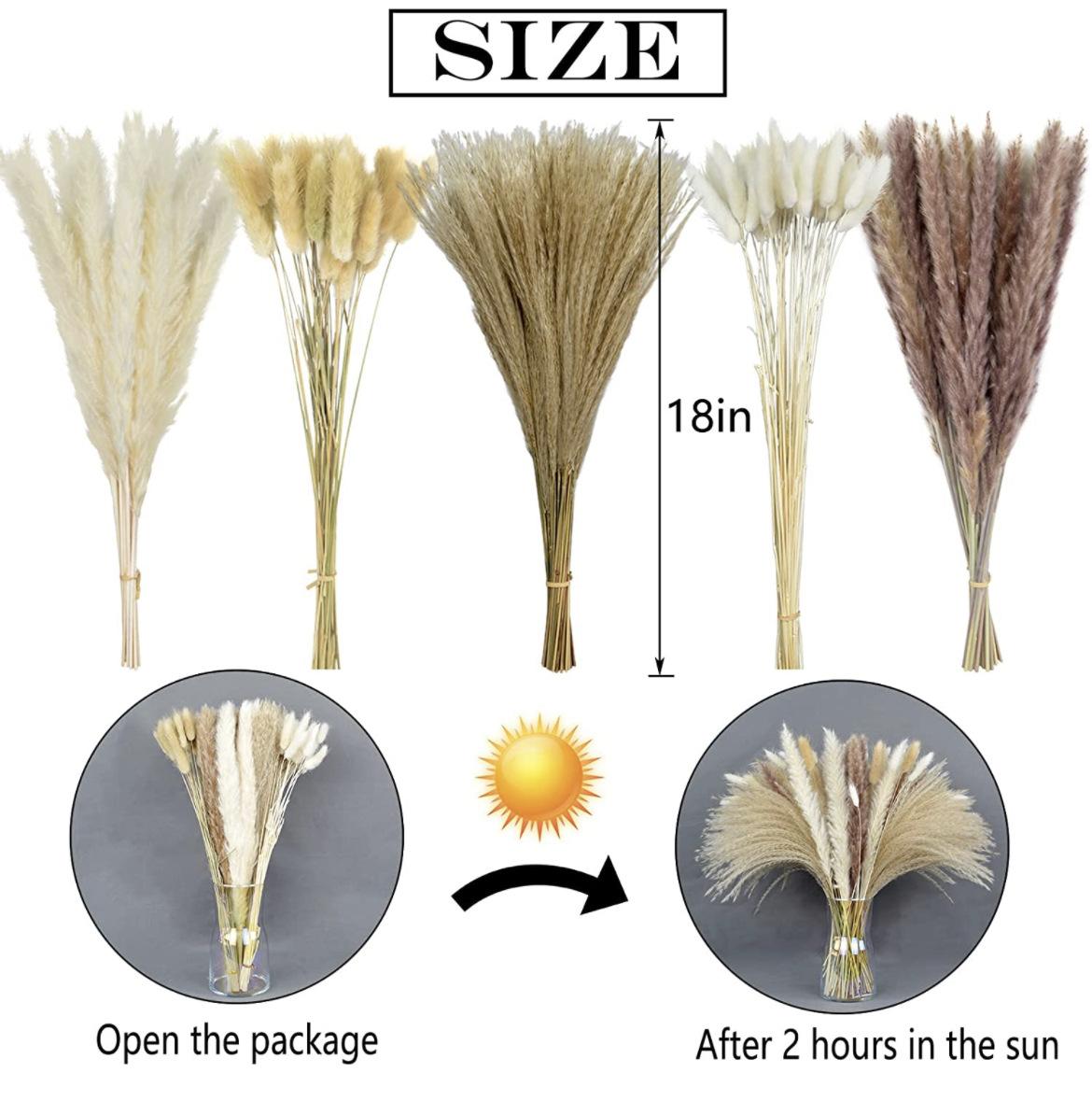 100 Pieces Of Bohemian Reed Grass, Naturally Dried Reed Grass, Wedding Decoration, Home Decoration, Bohemian Party Decoration, Table Decoration, Brown And White Color