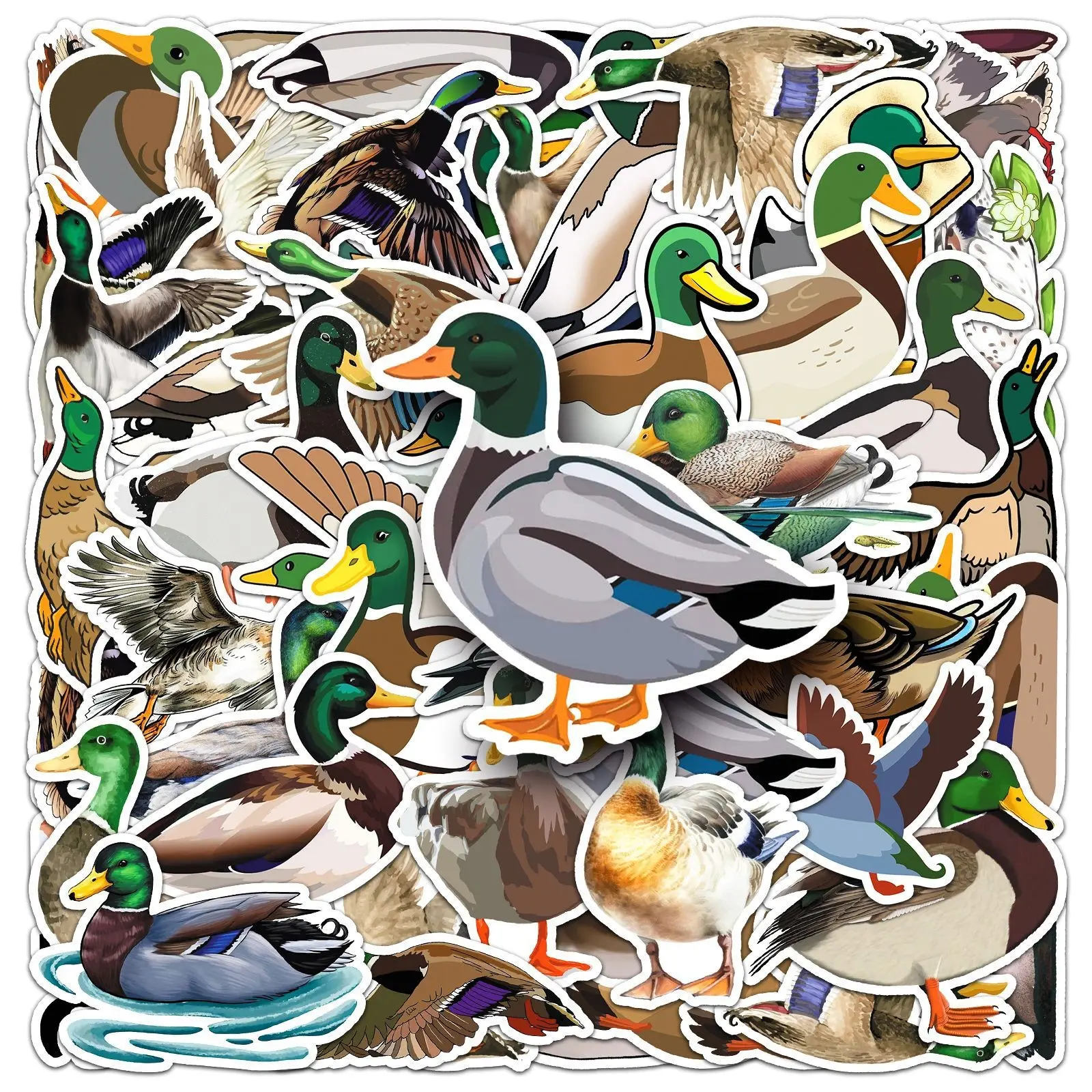 50 Wild Duck Stickers, Colorful Duck Design, High-Quality PVC, Removable and Reusable, Perfect for Waterfowl Enthusiasts