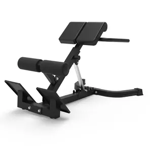 Adjustable Roman Chair Back Extension Bench for Home Gym, 330 lbs Heavy Duty Hyperextension Bench for Lower Back & Core Strength Training, Multi Functional Glute Ham Developer Foldable Incline Workout Equipment