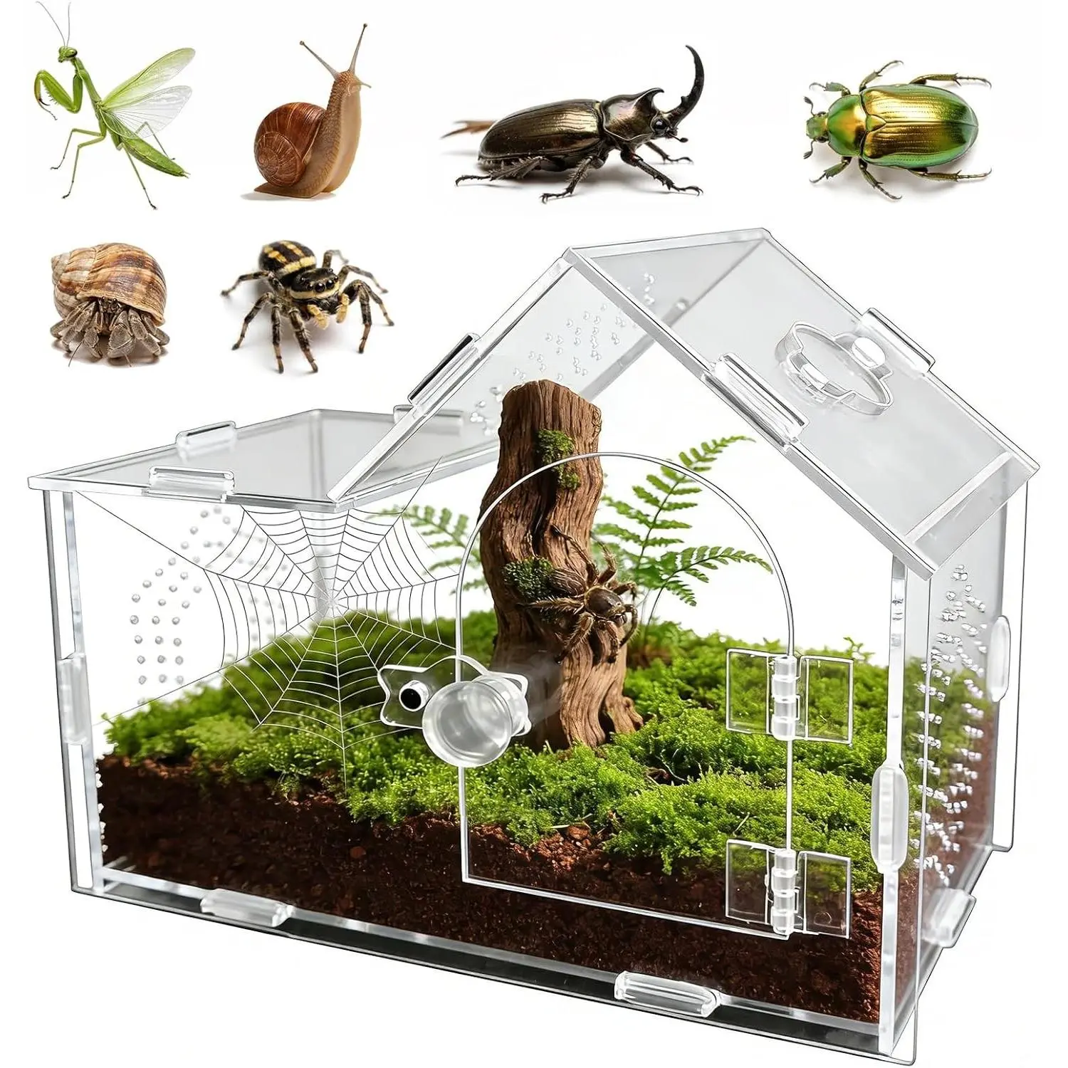 7.9x4x6 Inch Acrylic Jumping Spider Enclosure with Magnetic Lock - Ventilated Insect Enclosure Terrarium Box for Small Pets, Tarantulas, Geckos (Home Supplies Organizer Gift)