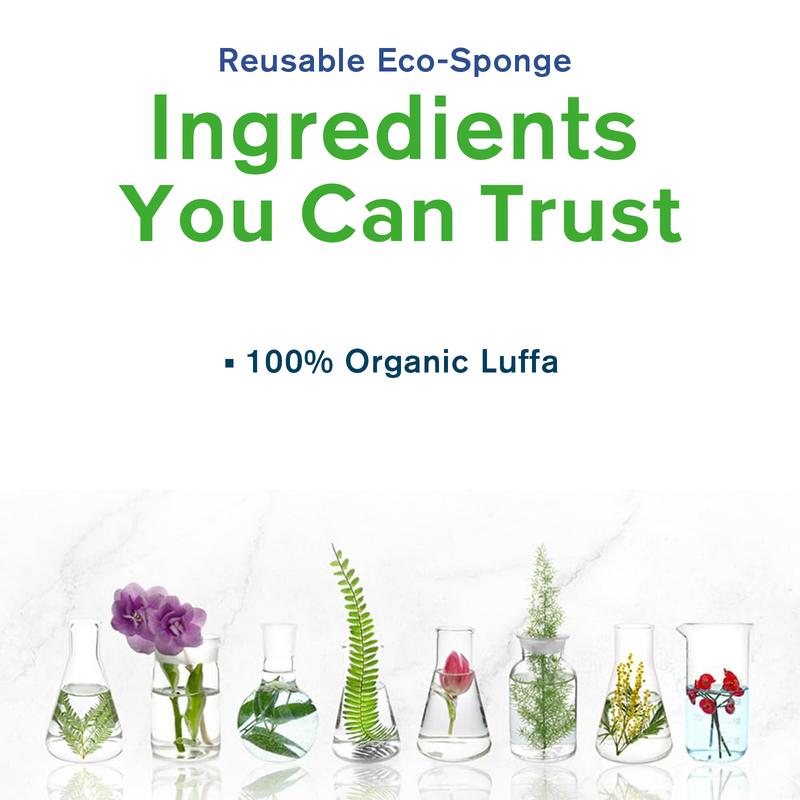 3-Pack Natural Luffa Cleaning Sponges | 100% Organic, Compostable & Non-Scratch | Plant-Based Scrubber for Dishes & Vegetables, 4.4x2.8 Inches