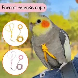 Bird Harness Flight Training Elastic Rope 2m, Parrot Harness with Multiple Sizes and Colors, Suitable for Parrots, Pigeons, Golden Sun Conures