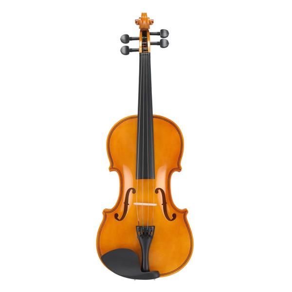 4/4 Violin Set for Adult Beginners and Students with Hard Case, Bow, Shoulder Rest, Rosin, Extra Strings, Pre Set Up Bridge