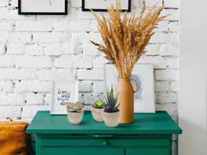 Artificial Succulent Plants Potted, Assorted Decorative Faux Succulent Potted Fake Cactus Cacti Plants with Pots, Set of 5 Artificial Succulent Plants Potted, Assorted Decorative Faux Succulent Potted Fake Cactus Cacti Plants with Pots, Set of 5