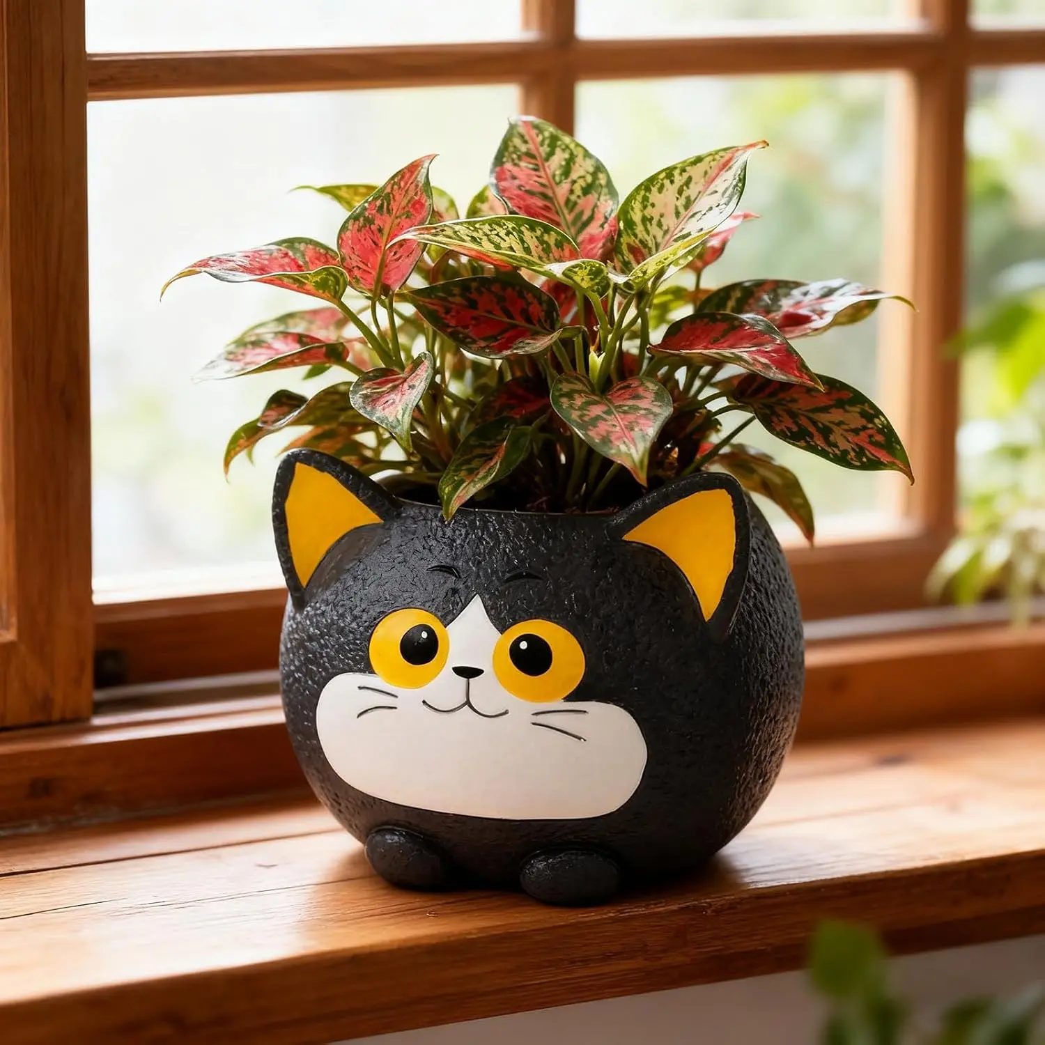 Black  Planter Pot for Indoor Outdoor , Cute  Pots