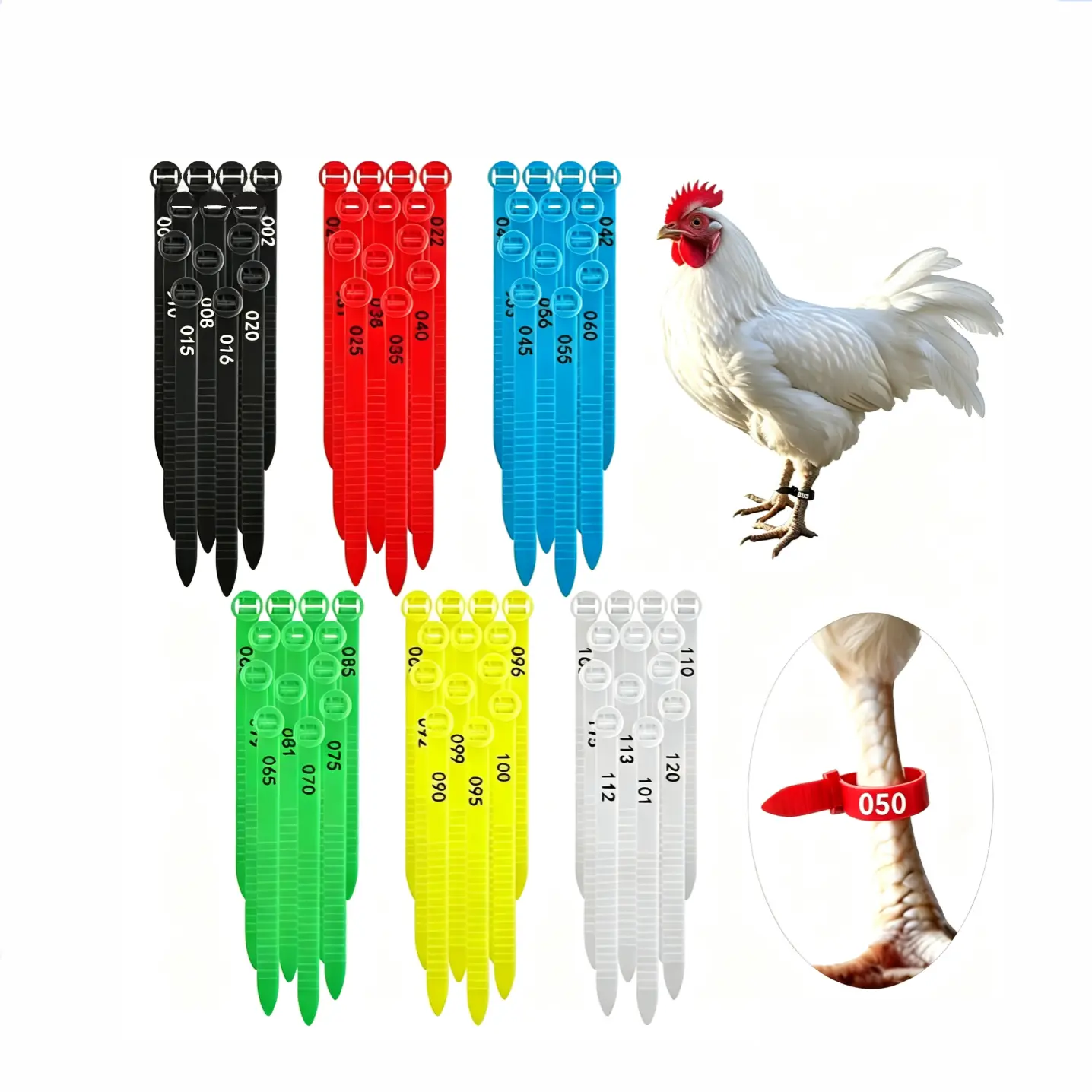 120PCS 10-30MM Numbered Colorful Poultry Leg Bands, Reusable Adjustable ID Foot Rings for Chicken Duck Turkey