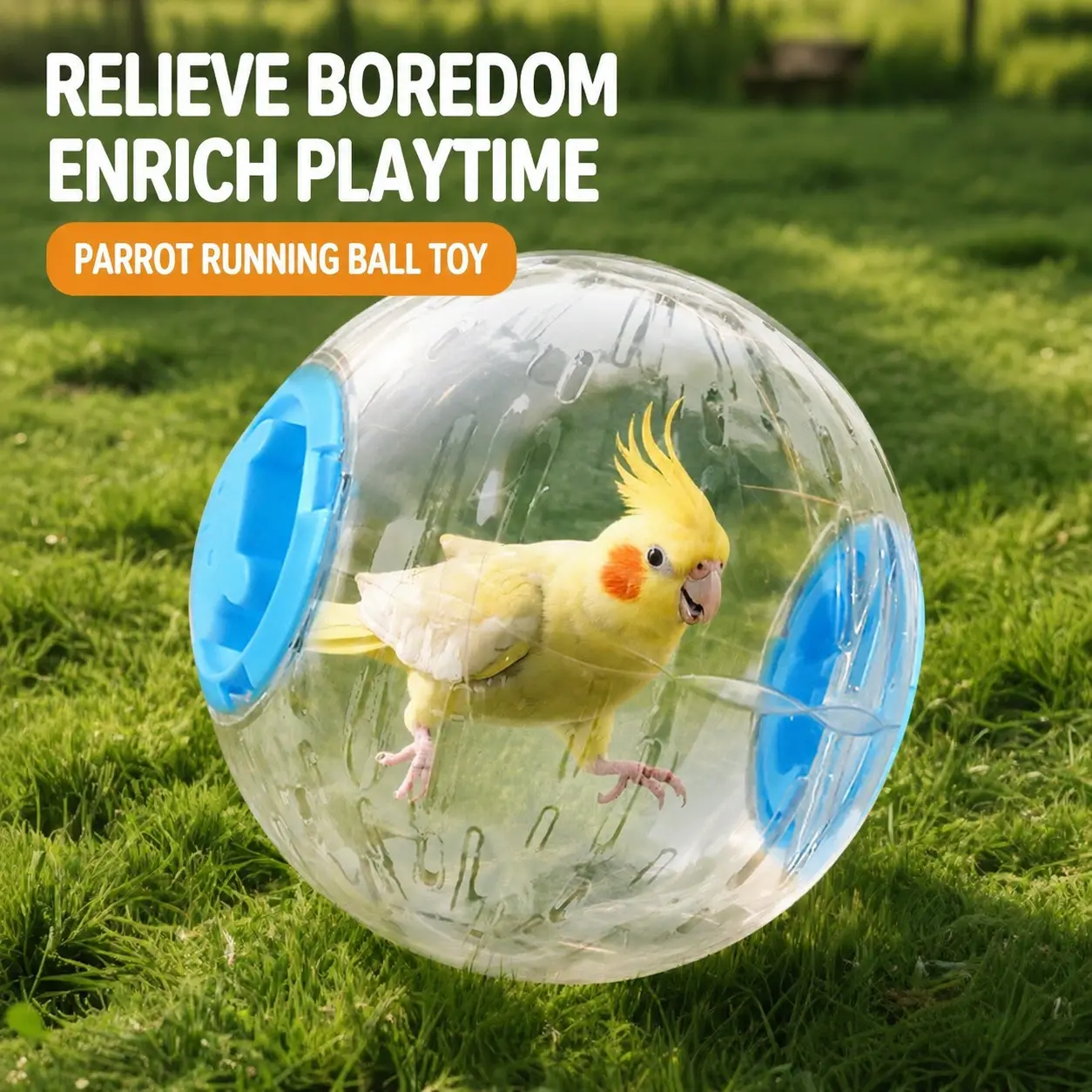 Bird Toys Parrot Running Ball for Small Birds Transparent Breathable Large Space Playtime for Parakeets, Conures, Budgies, and Lovebirds, Diameter 7.1-inch