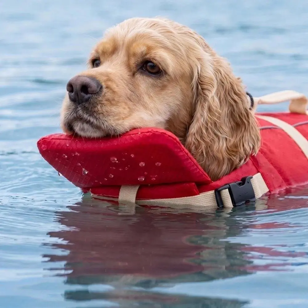Dog Life Jacket - Waterproof, Breathable, Adjustable Pet Safety Vest with High Buoyancy Thick Sponge Pad for Puppy Swimming