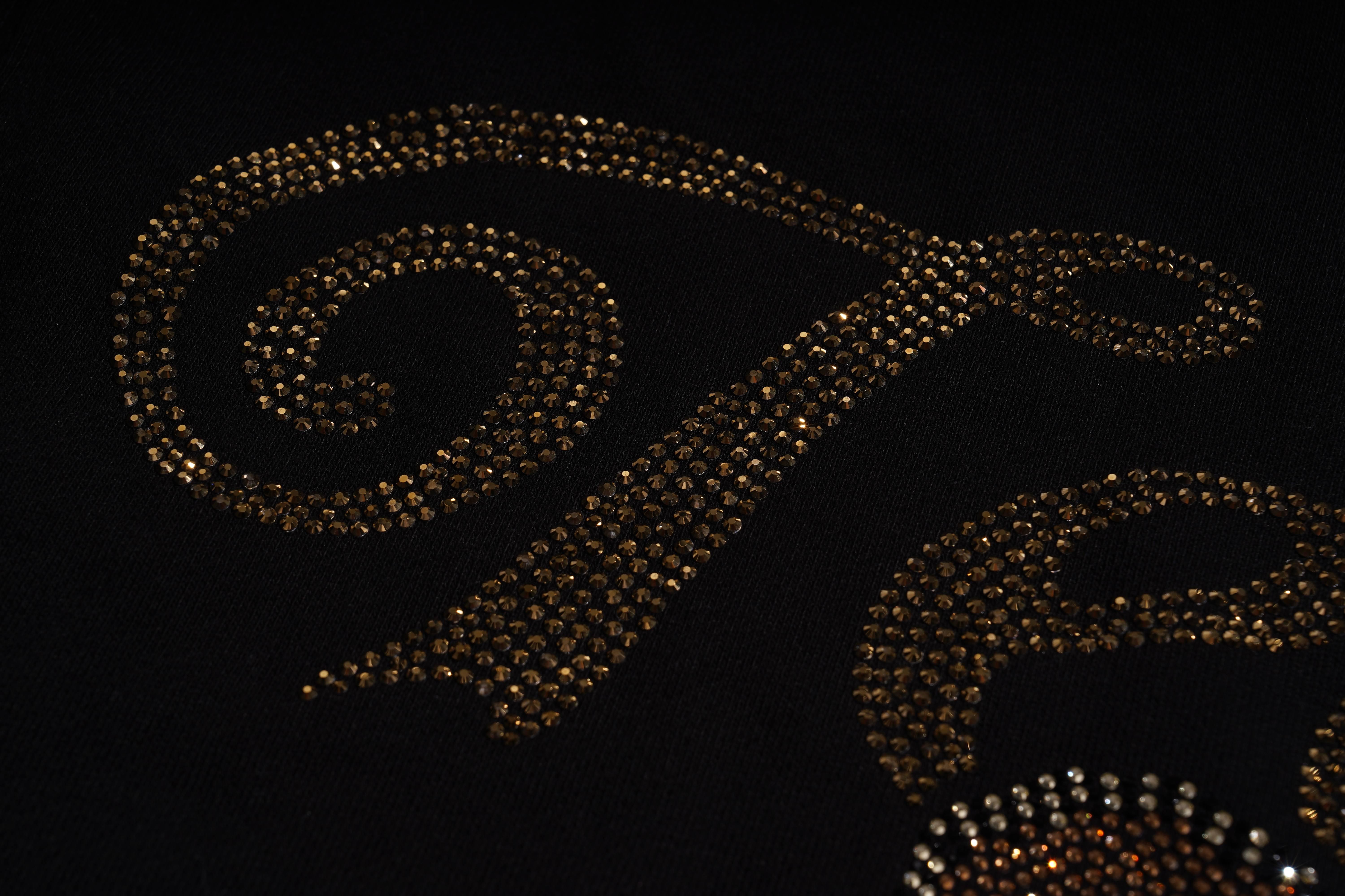 TCH - B: RARE TECHNO BEAR OVrsied -Bling Hoodie I Y2K Cyber Grunge AestheticI Rhinestone Details & Side Zippers