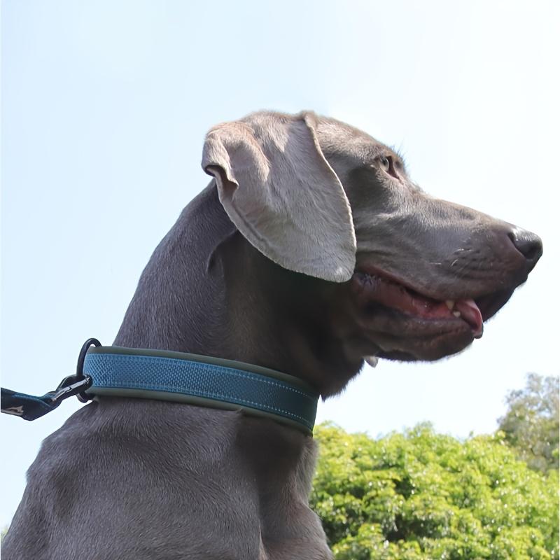 1 Reflective Adjustable Small Dog Collar - High-Quality Shockproof Safety Cartoon Pattern Polyester Pet Collar with Secure Buckle Suitable for Nighttime Walking and Daily Use, Durable and Designed for Safe Owners