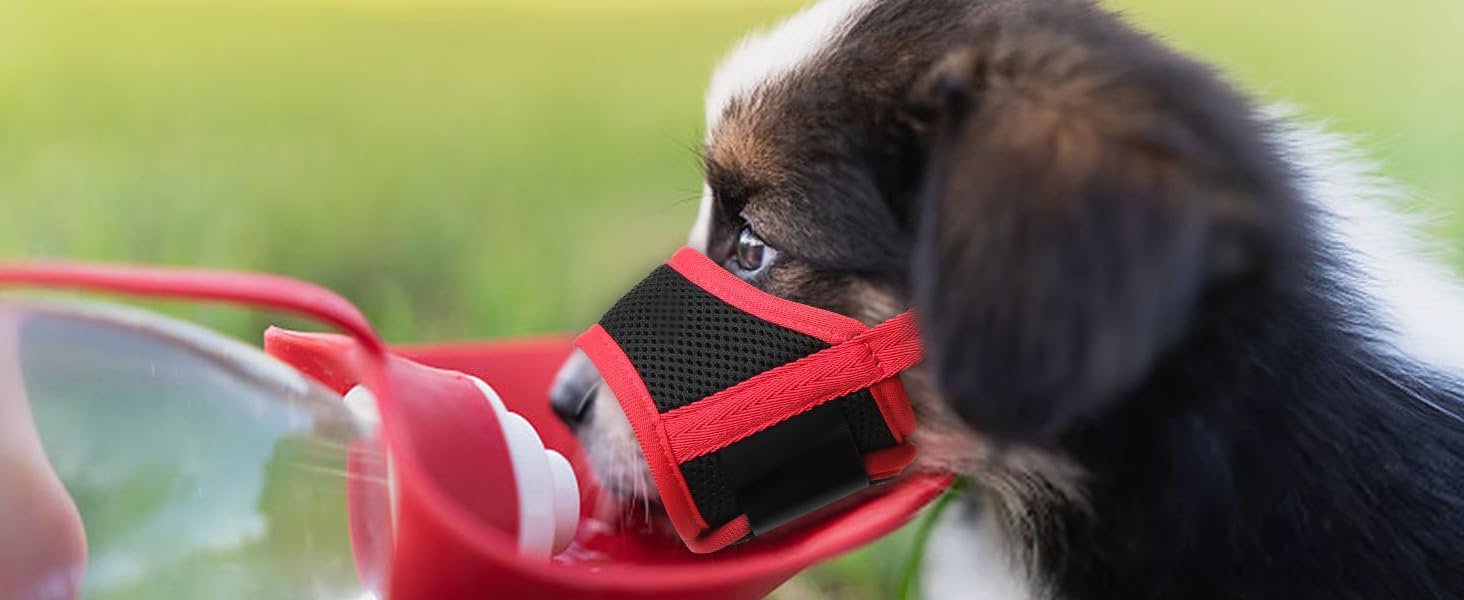 Dog Muzzle,Soft Nylon Muzzle Anti Biting Barking Chewing,Air Mesh Breathable Drinkable Adjustable Loop Pets Muzzle for Small Medium Large Dogs 4 Colors 4 Sizes (Black, L) PET MUZZLE pet muzzle