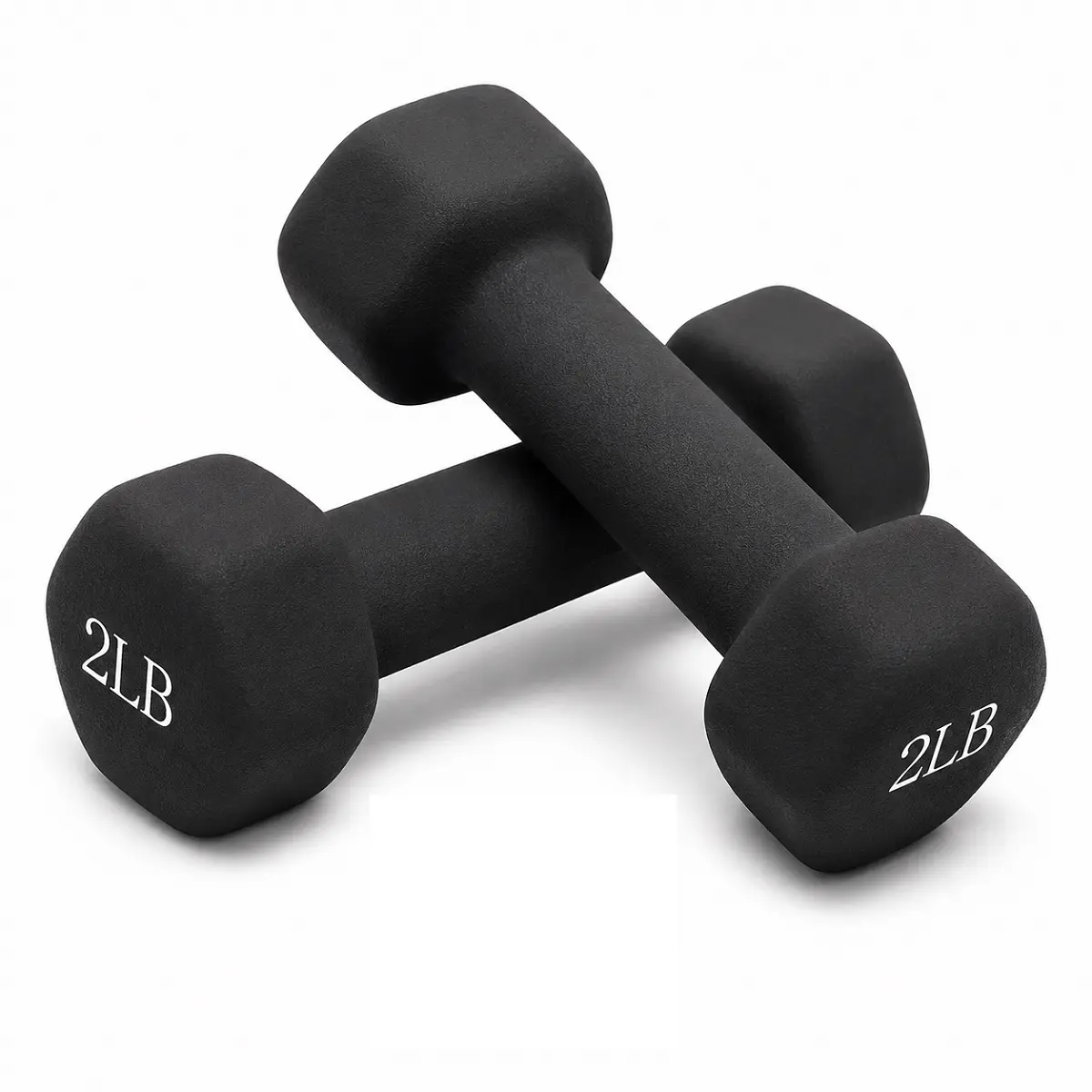 2-Lb Black Hexagonal Ergonomic Non-Slip Nylon Dumbbells, 2-Piece Home Fitness Weight Training Set