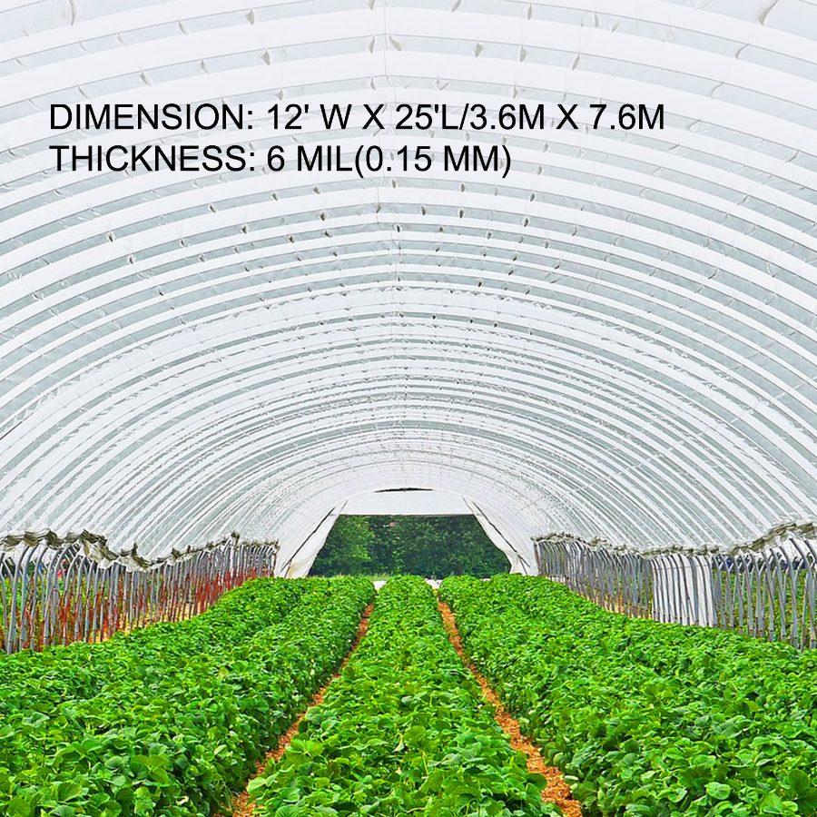 VEVOR Greenhouse Film 12x 25 ft, Greenhouse Polyethylene Film 6 Mil Thickness, Greenhouse Clear Plastic Film UV Resistant, Polyethylene Film Keep Warming, Greenhouse Plastic Superior Toughness