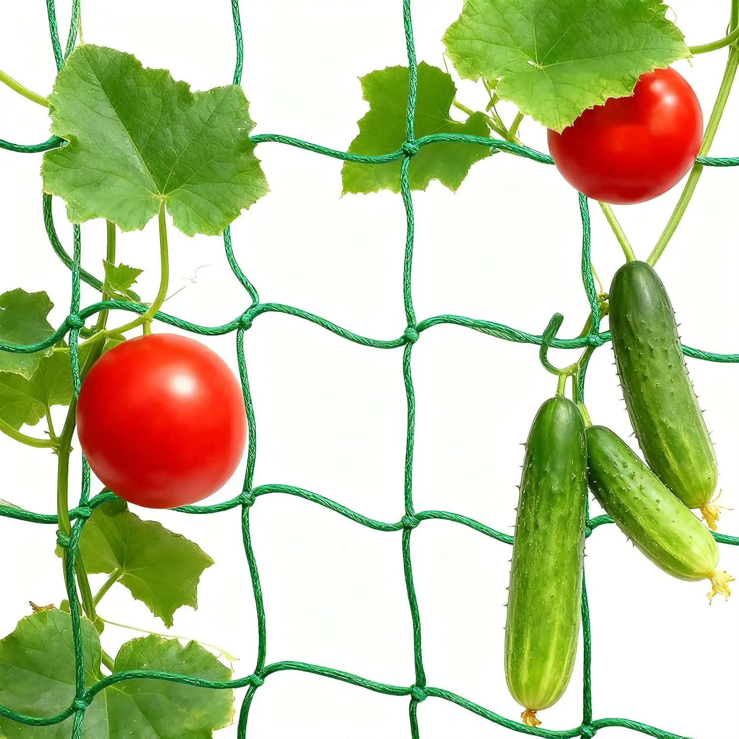 6.6x16.4FT Trellis Netting for Climbing Plants,Trellis Netting with Plant Clips, Heavy-Duty PE Trellis Net for Cucumber, Tomato, Vegetables, Fruits, Sweet Pea Plants