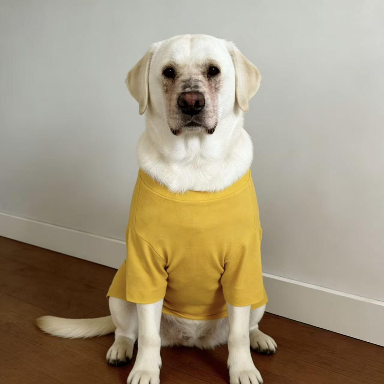 SoPets Summer Cooling Dog Shirts for Large Breeds Labrador Golden Retriever Thin Anti Shedding Shirt Breathable Pet Clothing