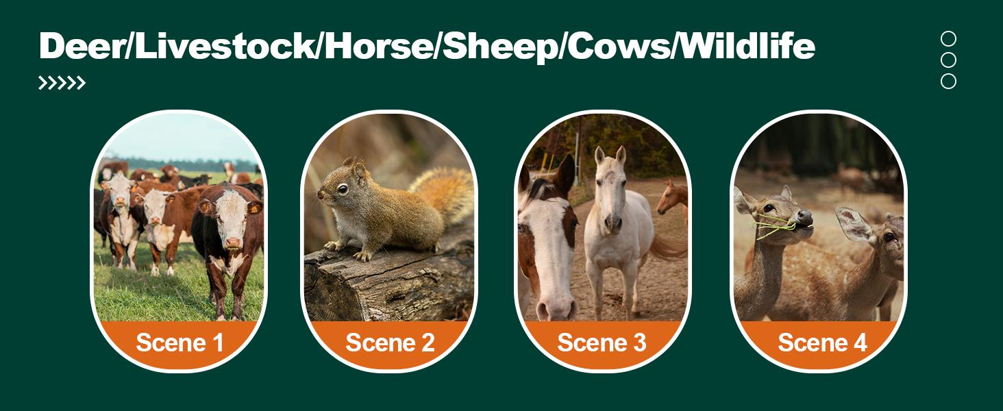 Livestock Feeder with Waterproof Cover and Mounting Straps, Hanging Deer Gravity Feeder, Steel All Seasons Feeders Portable