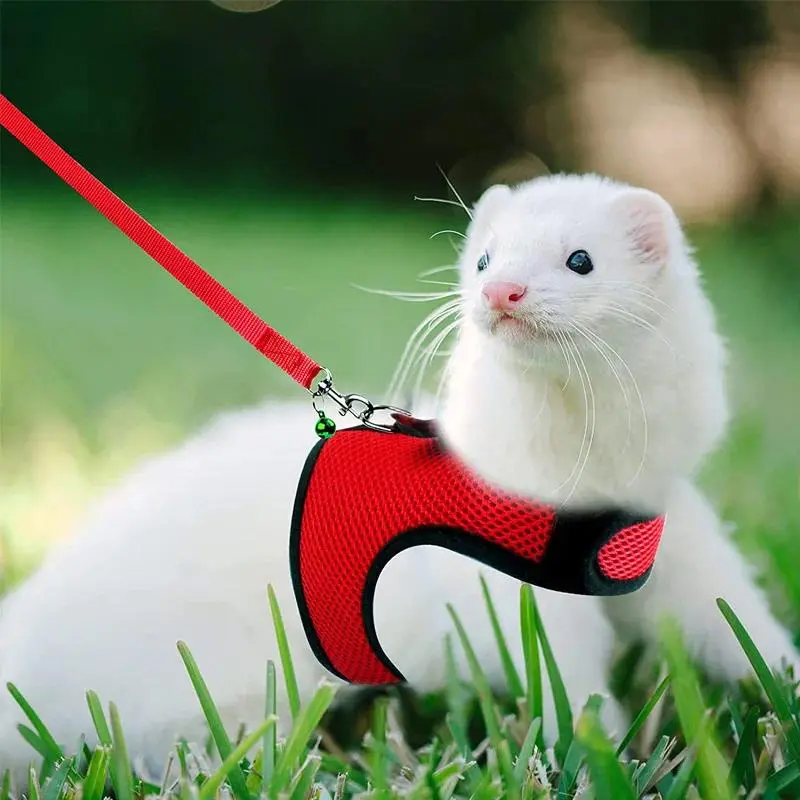 Mesh Breathable Lightweight Ferret Harness & Leash Set Pack, Customized Collars & Harnesses & Leads with Leash Attached for Small Animals (Rabbit, Hamster) Summer Walking Pet Accessories