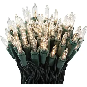 100 Clear Twinkle Lights on Green Wire, Indoor/Outdoor Use, Lighted Length of 20.6', Total Length of 21.8'fidget toys