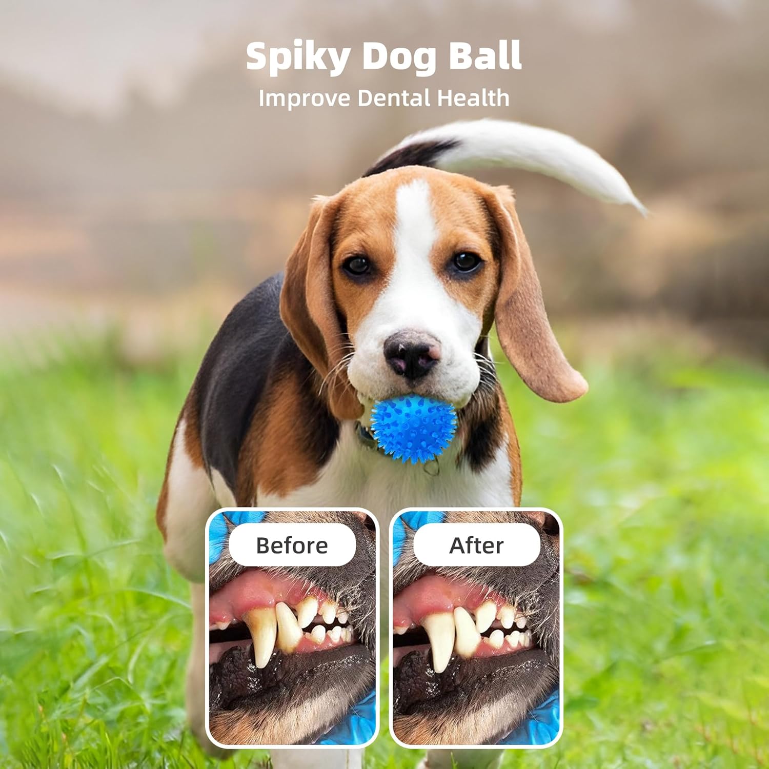8 Pack 2.5" Squeaky  Balls for Small and Medium Dogs, Spiky Balls for  Puppies
