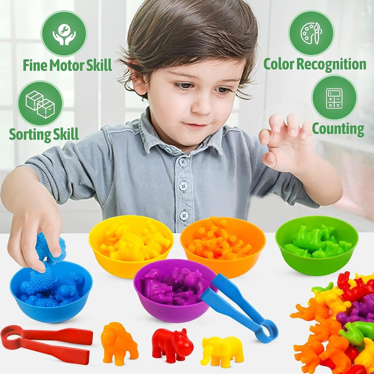 Counting Animal Toys Matching Game with Sorting Bowls, Preschool Learning Activities, Montessori Sensory Fine Motor Toys Set for Math Color Sorting, Shape Sorter