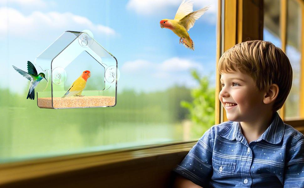 Acrylic Window Bird Feeder, Transparent Wall-Mounted Wild Bird Feeding Tray, Clear Strong Suction Cup Outdoor Feeder for Cardinals Finches Bluebirds, Weatherproof Seed Tray for Garden Patio