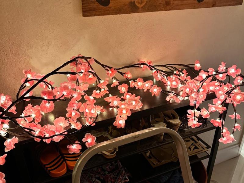 BASIC SUPPLY DIY Cherry Enchanted Willow Vine Lights,4 FT 48 LED Cherry Blossom Lights with Remote Timer,8 Lighting Modes,LED Tree Branch Light for Wall,Cherry Blossom Wall Decor for Bedroom Living Room Window