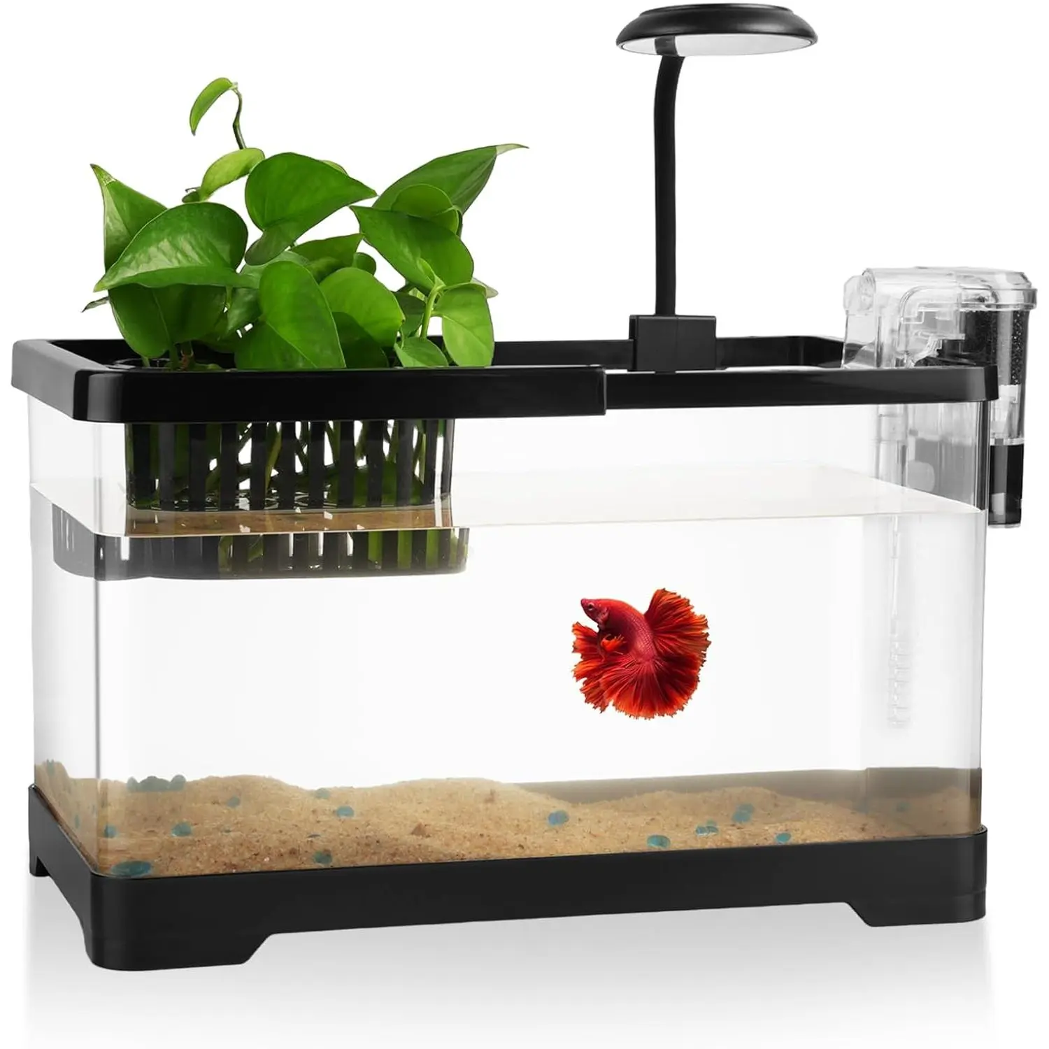 1.8 Gallon  Fish Tank Aquariums Kits - Clear Small Fish Bowl Starter Kit with LED Light, Water Filter Pump, Hydroponic Basket - Beginner's Gift for Guppy Shrimp Goldfish, Rectangular