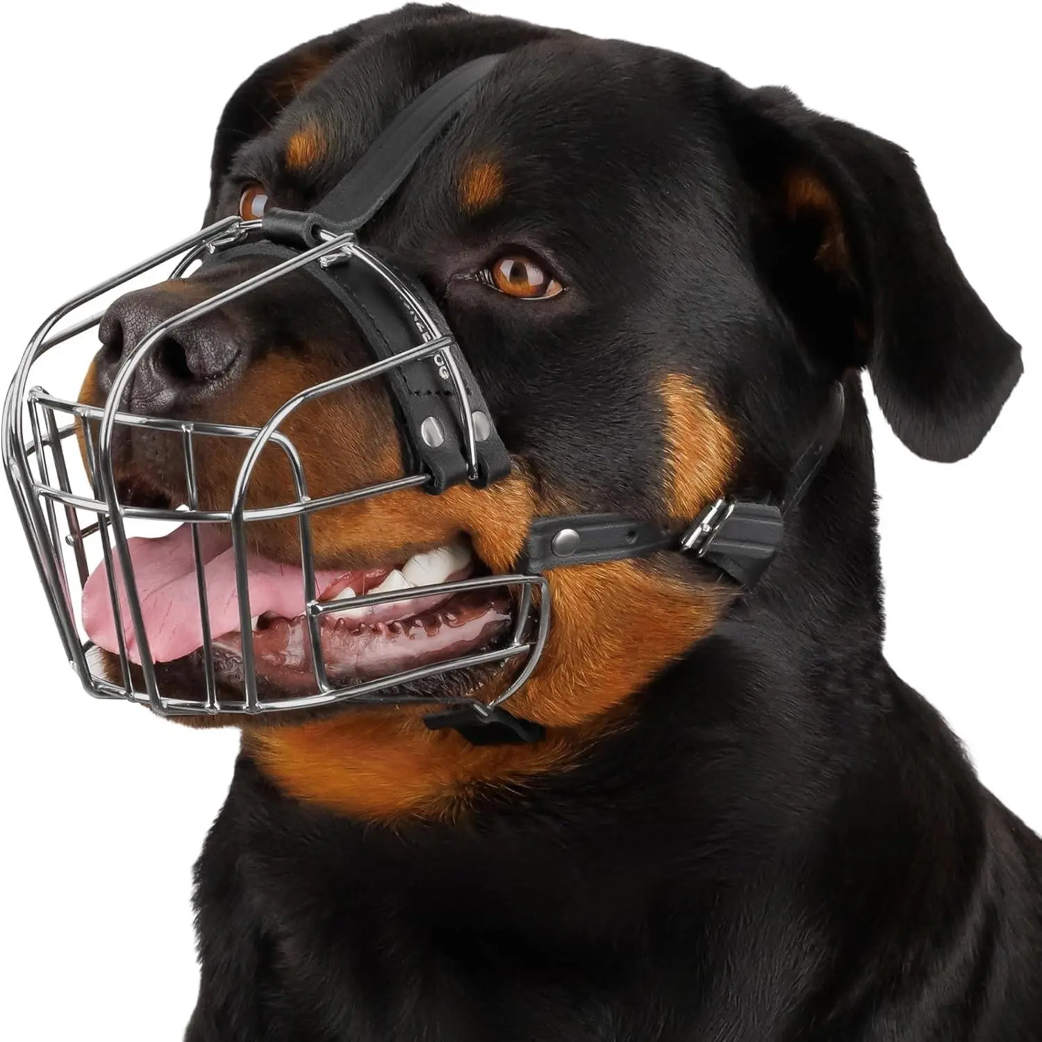 Stainless Steel Wire Muzzle Basket for Large Dogs - Adjustable Durable Metal Frame Design with Leather Straps, Breathable, Drinkable, Training Tool to Prevent Biting (Ideal for Rottweilers)