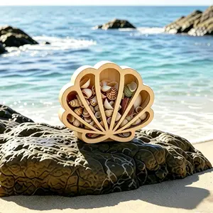 Display Box with Acrylic Panel Storage Holder for Shells Sea Glass Small Starfish Shark Tooth Collection Home Decor Birthday Present