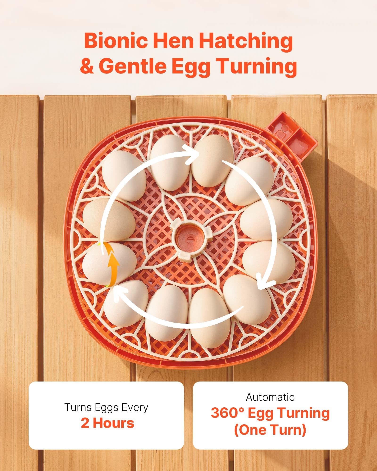 VEVOR 12 Egg Incubator, Automatic Egg Turner with LED Candler, Temperature & Humidity Control, 360 °   View Clear Window, Poultry Eggs Incubator for Home Farm, Hatching Chicks Ducks Goose Quail