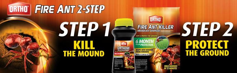 Ortho Orthene Fire Ant Killer1, Kills the Queen and Destroys Mounds, Begins Working in 60 minutes, 12 oz., 2-Pack Plant 01