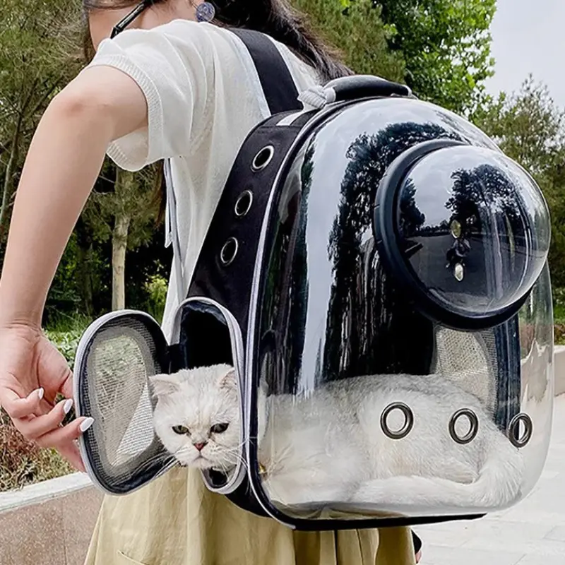 Modern Transparent Pet Backpack with Zipper Closure — Heavy-Duty Construction, Ventilated, and Padded Interior — Portable Travel Carrier for Cats and Small Dogs