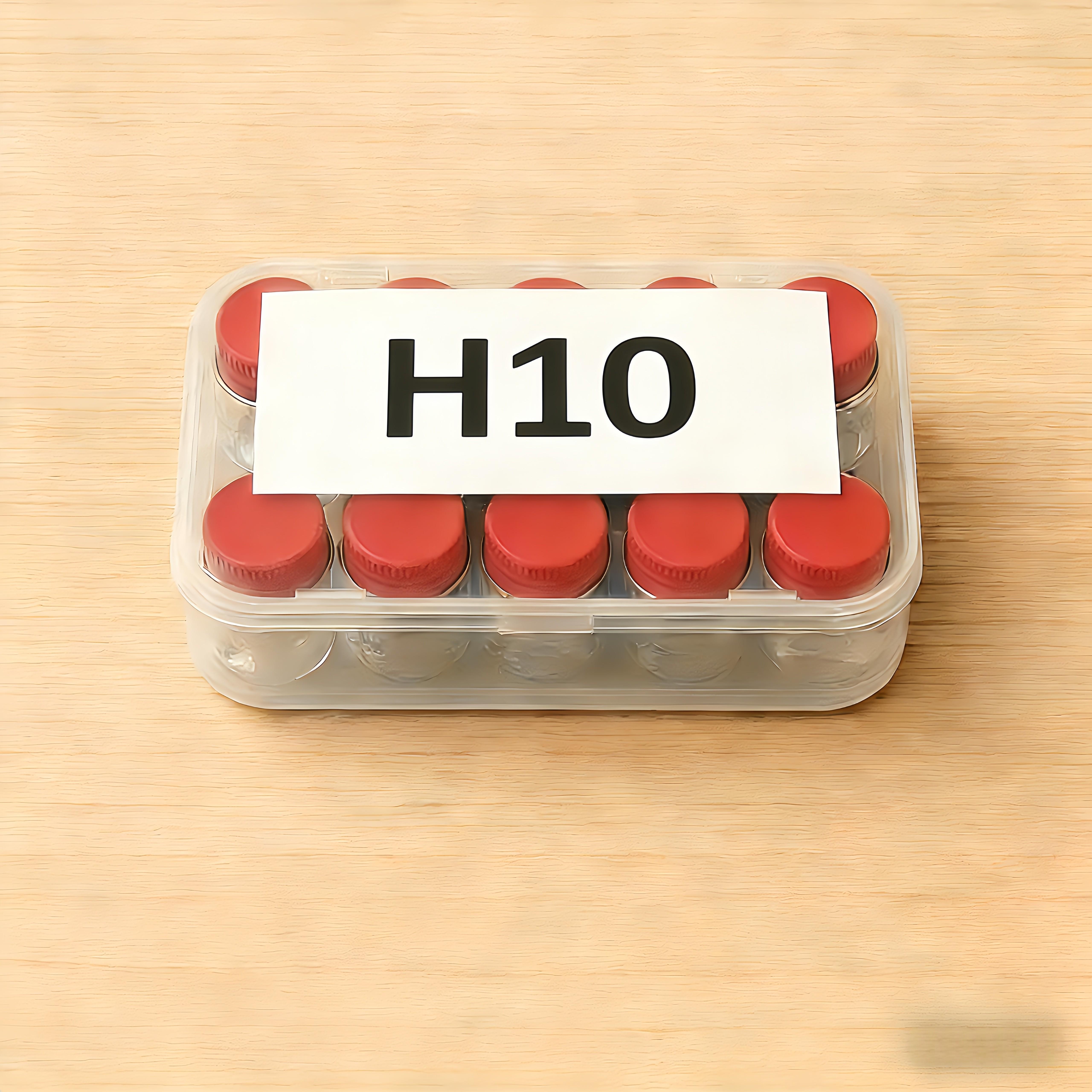 H10