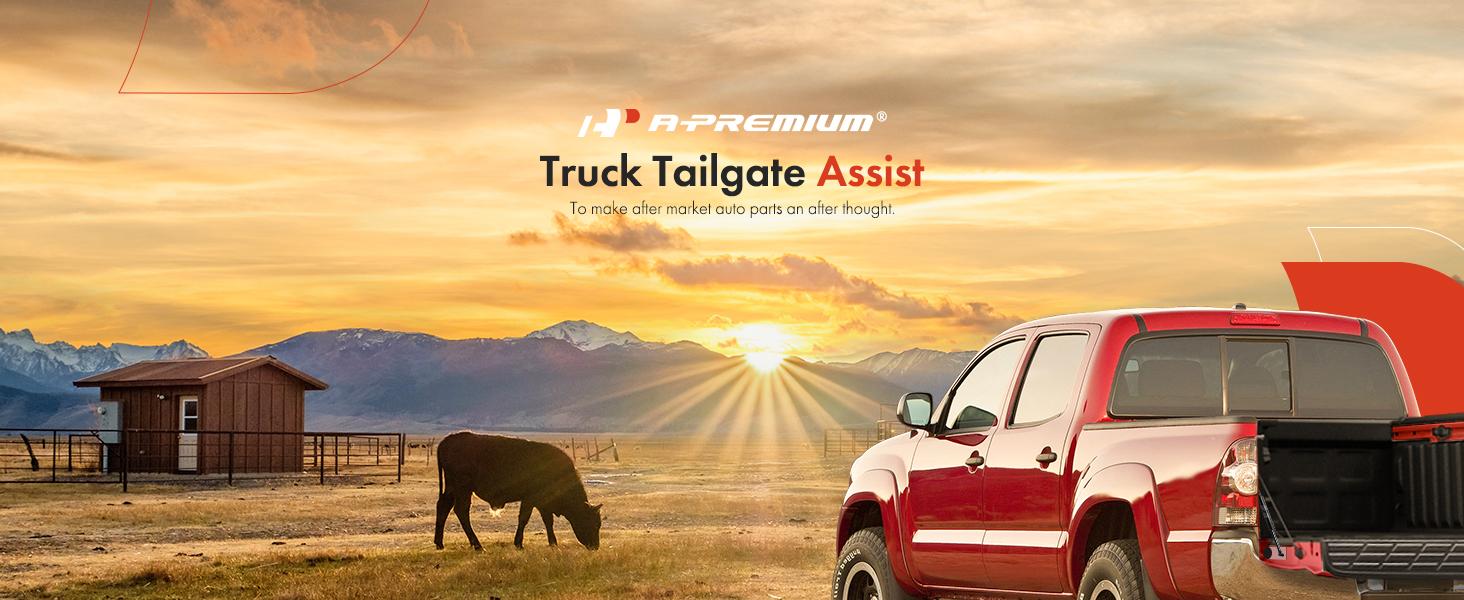 THE WELL KEPT Tailgate Assist Shock Strut Replacement for Dodge Trucks Ram 1500 Ram 2500 Ram 3500 2002-2009