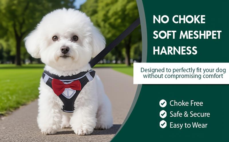Dog Harness and Leash Set, Breathable Mesh Pet Harness, Reflective Adjustable Puppy Vest, Suitable for Small Dogs and Cats