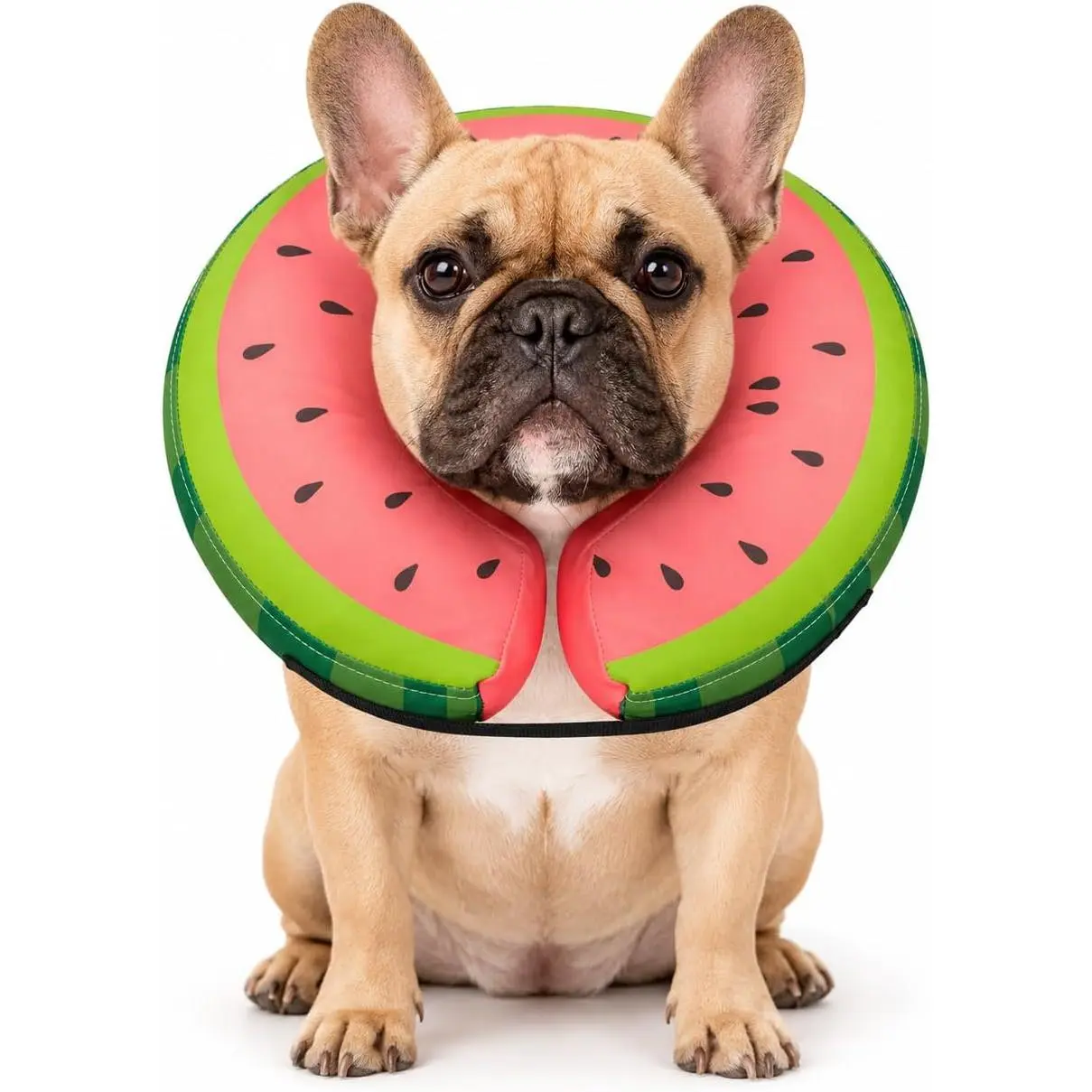 Soft Inflatable Dog Cone, Donut E-Collar Alternative for After Surgery, Prevents Licking, Allowing Normal Eating & Vision, Comfortable Recovery Collar for Small Medium Large Dogs & Cats, Red, Neck