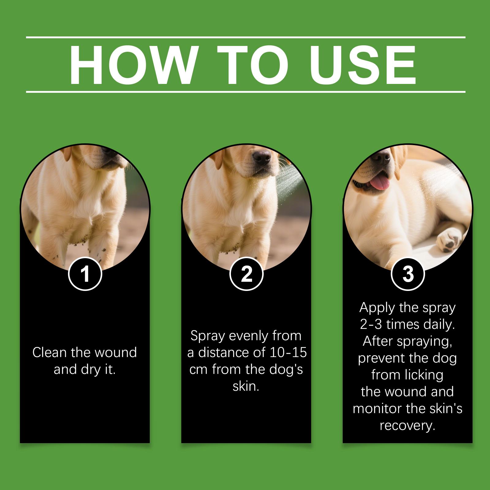 Yegbong Pet Skin Spray with Colloidal Silver & Centella Asiatica for Itchy Skin Relief and Wound Care 100ml