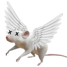 Rat Bait Station Traps, Reusable Humane Rodent Box Against Mice Chipmunks Squirrels That Work, Smart Tamper Proof Cage House to Secure Bait Block and Pellets, Mouse Bait Station Outdoor