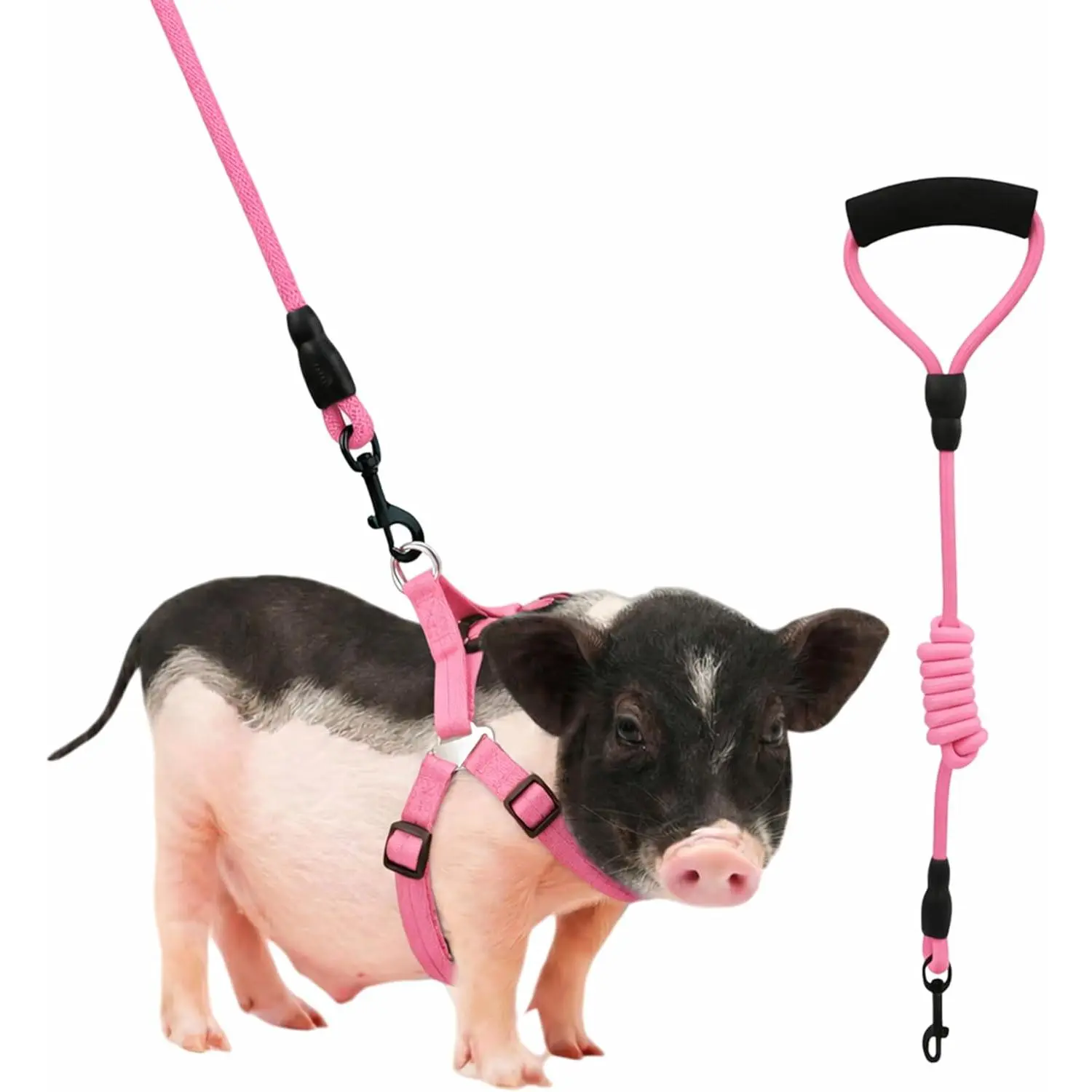 Mini Pig Harness, Adjustable Small Pig Harness with Leash Infinity Style Lead and Soft  Handle for Small to Medium  Pigs Walking  Jogging (, M)