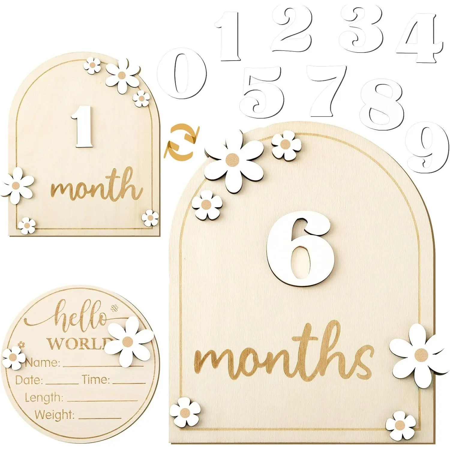 Monthly Milestone Cards with  World  Sign, Daisy  Milestone Signs  Monthly Milestone  Discs  Announcement Sign for  Growth Photo Props