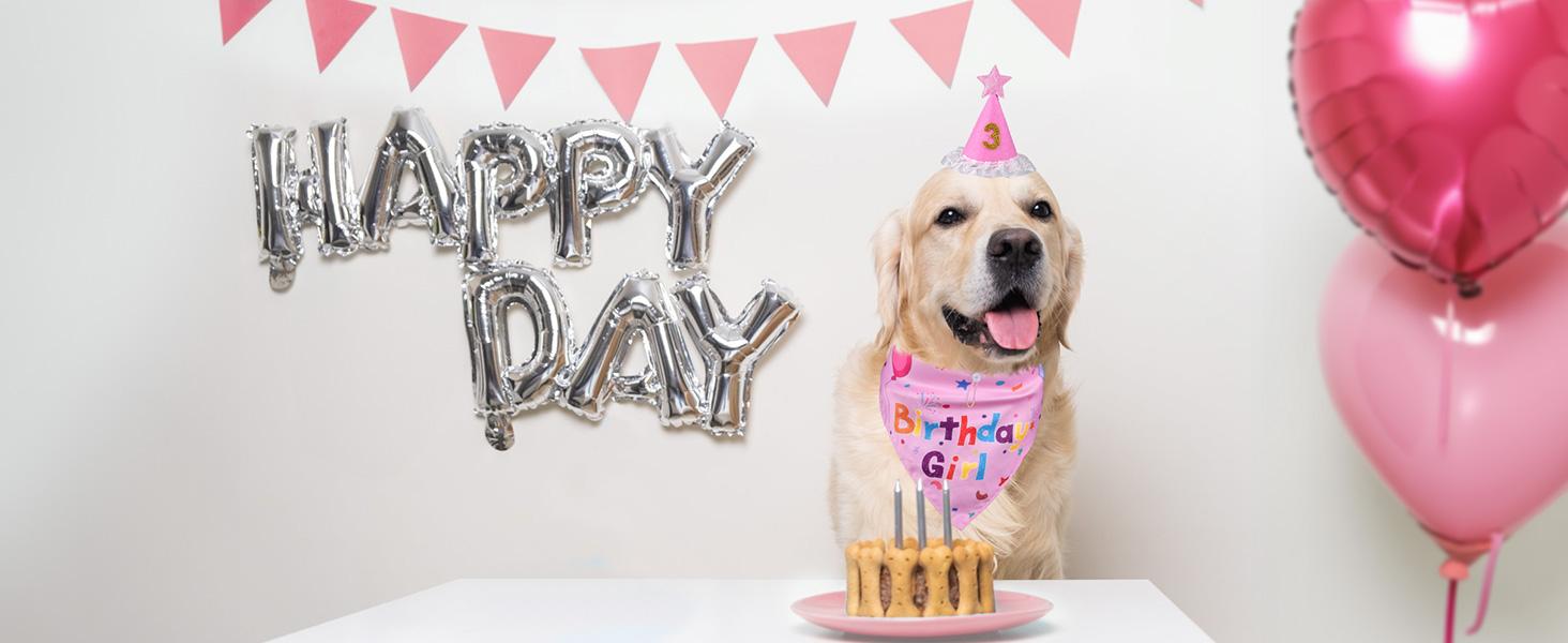 Dog Birthday Decorations, Dog Birthday Hat with Numbers for Large Medium Small,Pet Supplies (Pink)