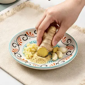 Garlic Press, Garlic Crusher,Ceramic Garlic Masher, Garlic and Ginger Paste, Household Manual Grater for Ginger Juice, Garlic Paste, and Yam, Baby Food, Creative Grinder, Triangular Grinding Teeth, Quick Mashing
