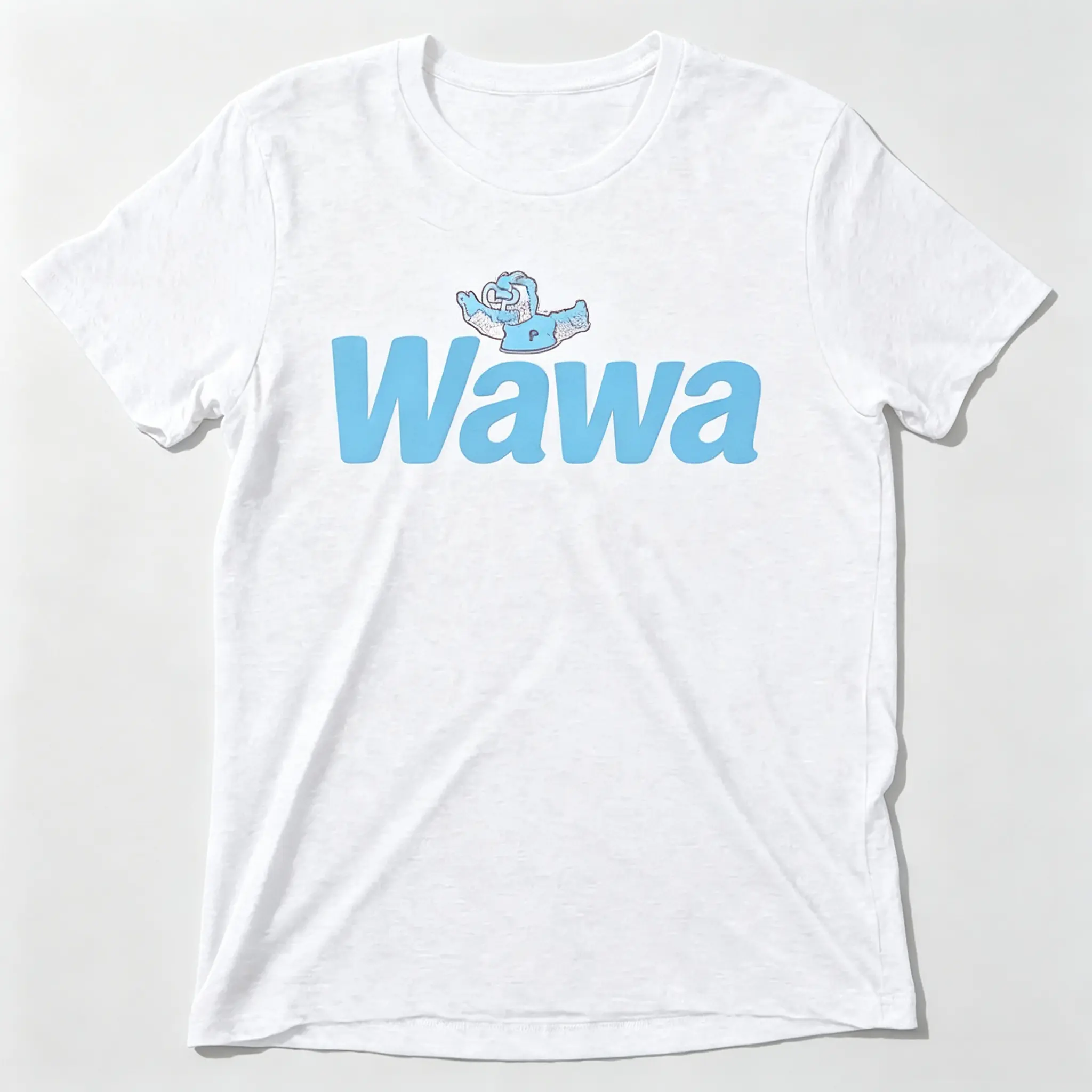 Wawa Philly Eagle Front Print Casual Graphic T-Shirt, high-definition vivid print trendy top, soft everyday oversized wear, multi-scene weekend apparel. Affordable little surprise gift for Philadelphia local fans, game day crew and city pride aesthetic lo