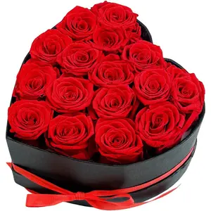 Preserved Roses Heart Shape Box Valentines Day Gifts for Her  Day Forever  (Red, 16 Roses)