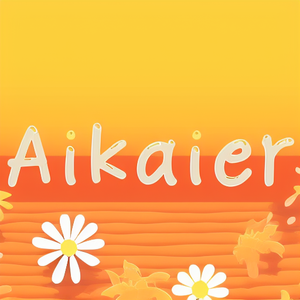 Aikaier Shop