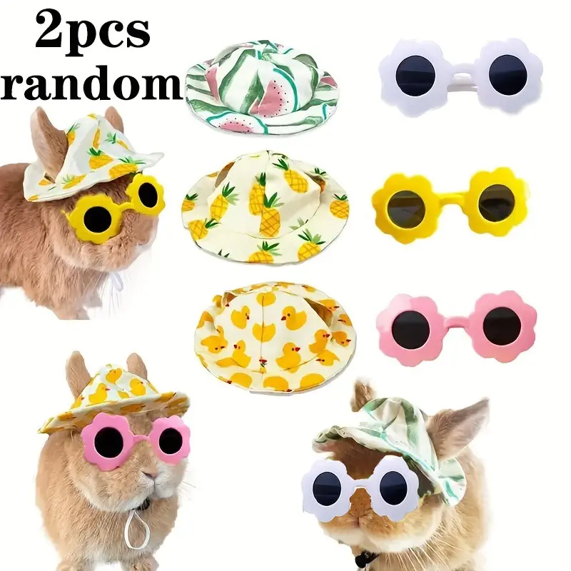 2pcs Random Small Animal Cute Summer Hats and Sunglasses, Rabbit Kitten Guinea Pig Puppy Sugar Glider Accessories, Pet Clothing Essentials