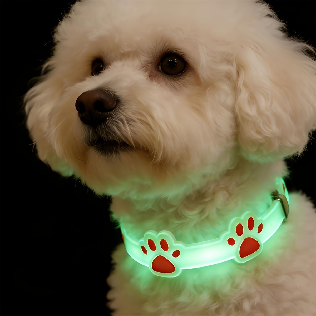 1pc Glowing Collar for Dogs & Cats with Bell - Luminous Night Safety Collar, Adjustable Anti-Loss Safety Device, Paw Print Suitable for Small Pets, Bell Alert System for Nighttime Walks, Random Color Collar for Dog and Cat Leash Gear