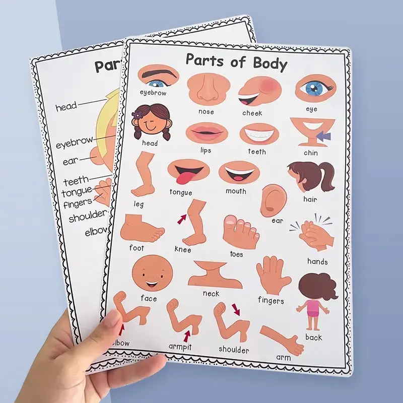 Children Body Parts Poster, Early Education Teaching Aid, English Word Learning Chart, Educational Toy for Kids, Home Schooling Resource, Preschool Learning Materials